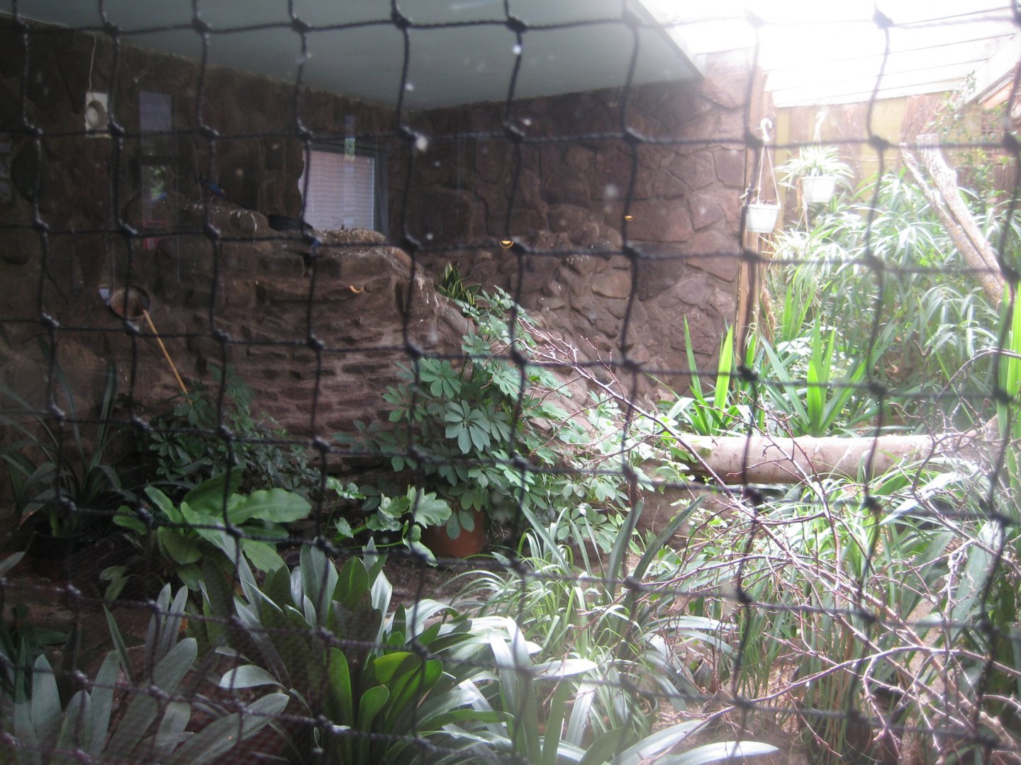 Frydenlund Fuglepark - Rainforest aviary