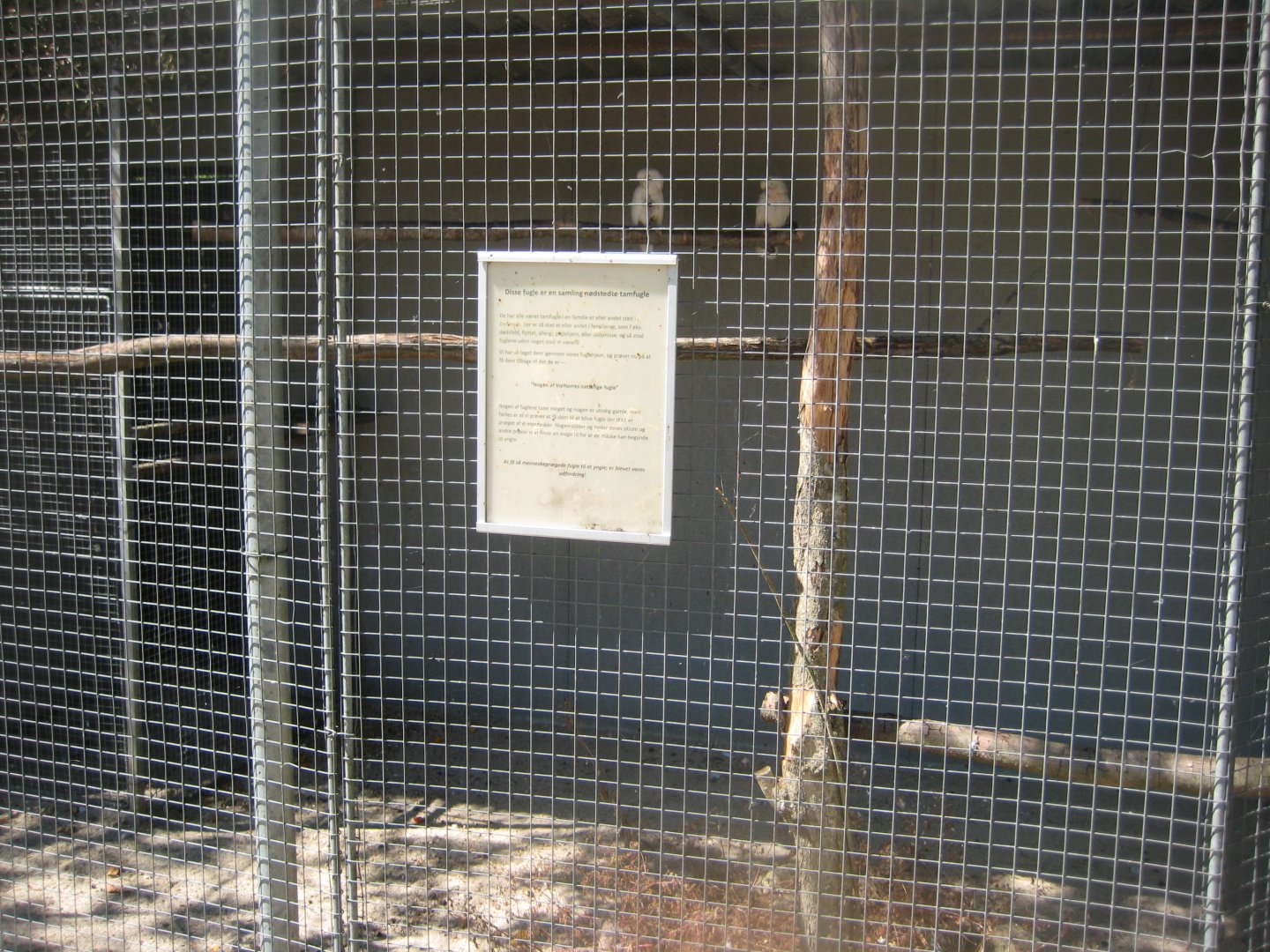 Frydenlund Fuglepark - "Rescue aviary"