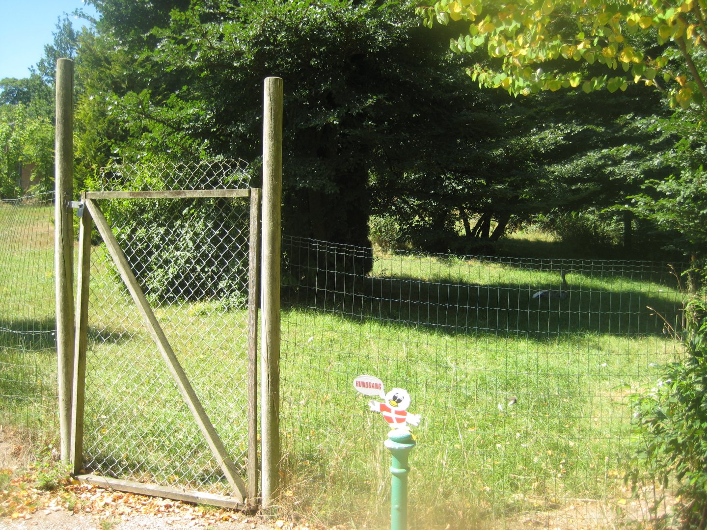 Frydenlund Fuglepark - Rhea exhibit