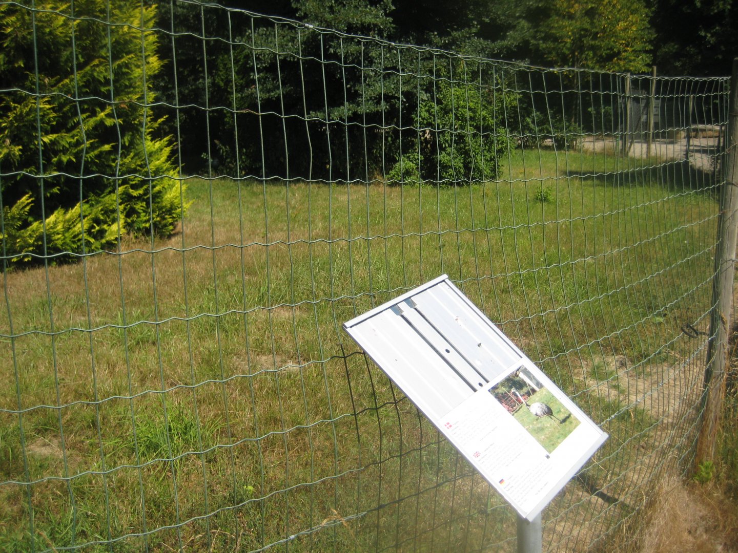 Frydenlund Fuglepark - Rhea exhibit