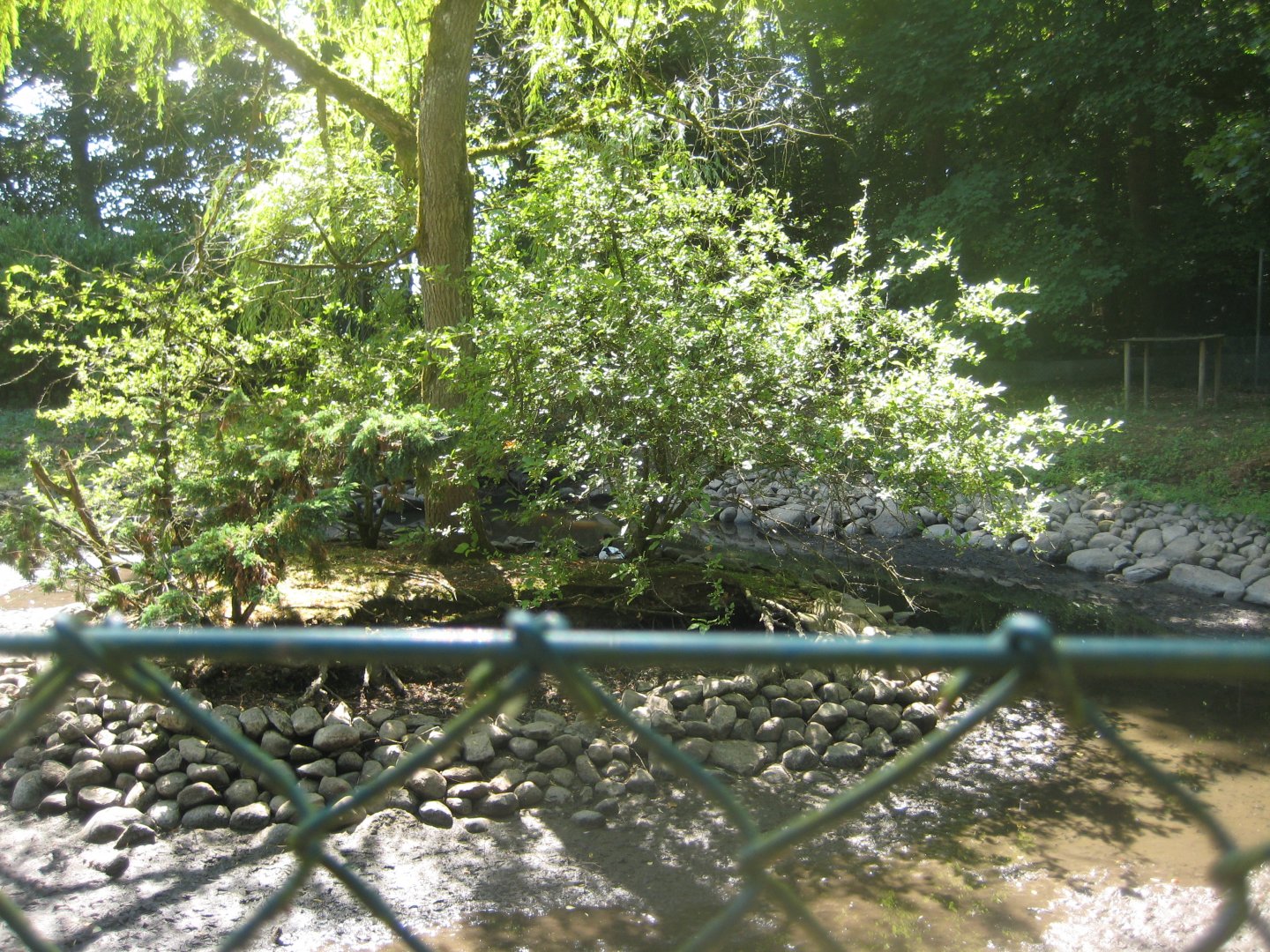 Frydenlund Fuglepark - Shelduck/goose exhibit