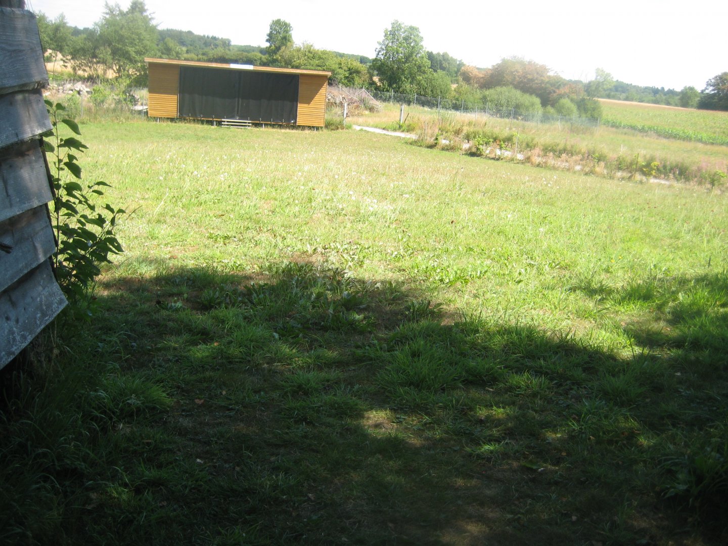 Frydenlund Fuglepark - Show/talk area