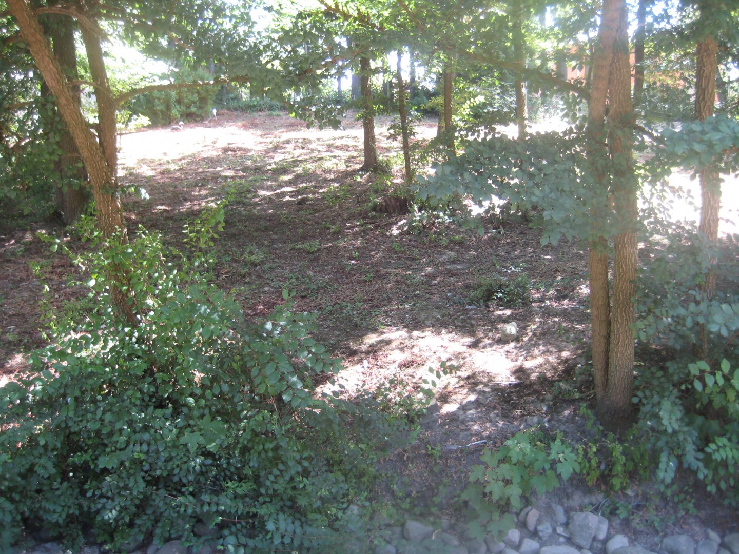 Frydenlund Fuglepark - Snowy goose exhibit