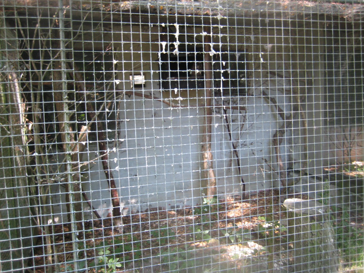 Frydenlund Fuglepark - Spotted eagle owl aviary