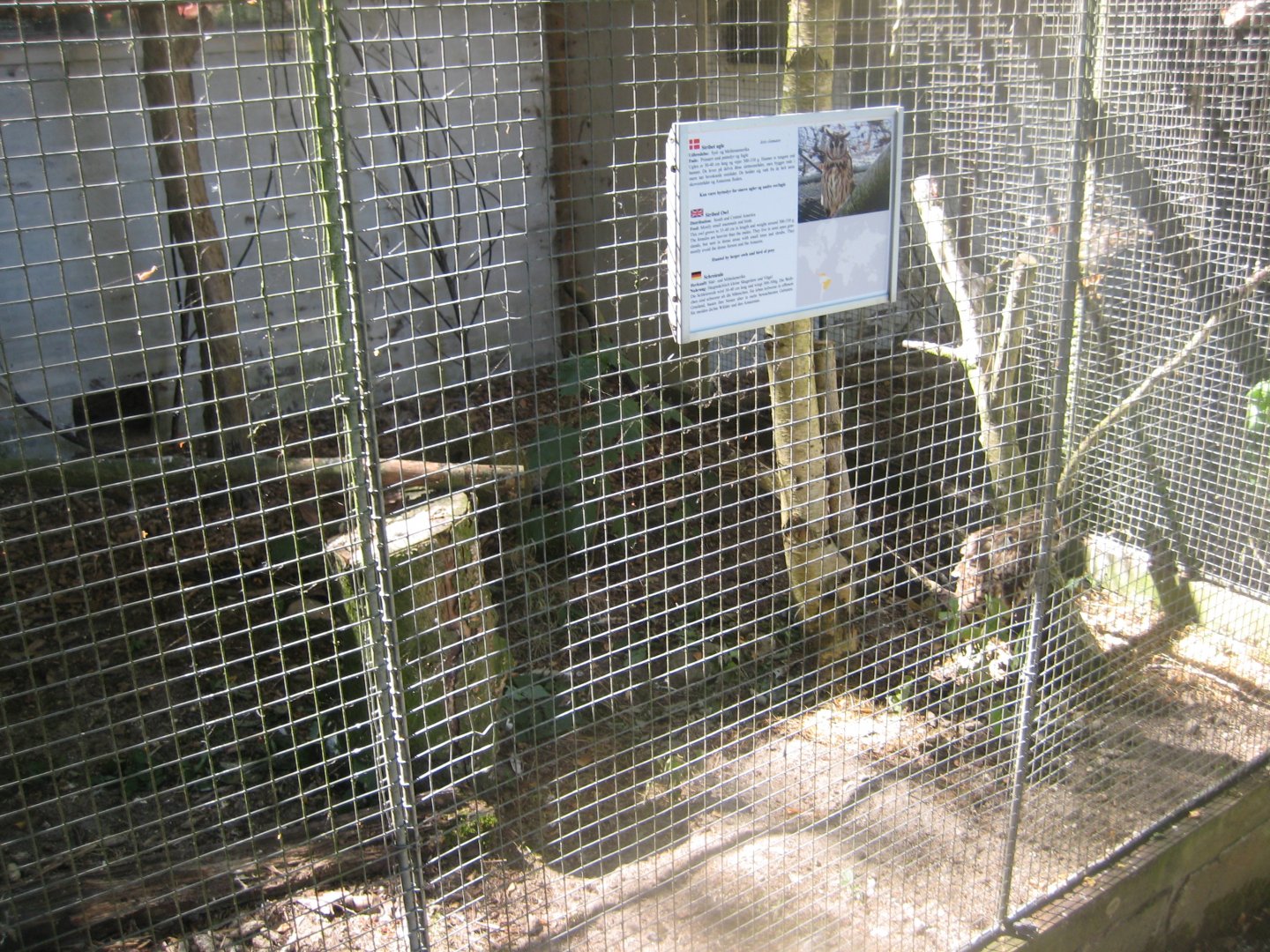 Frydenlund Fuglepark - Striped owl aviary