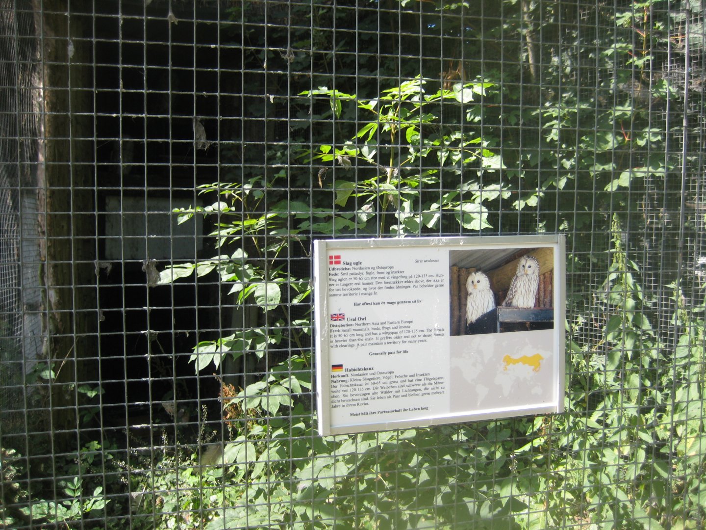 Frydenlund Fuglepark - Ural owl aviary