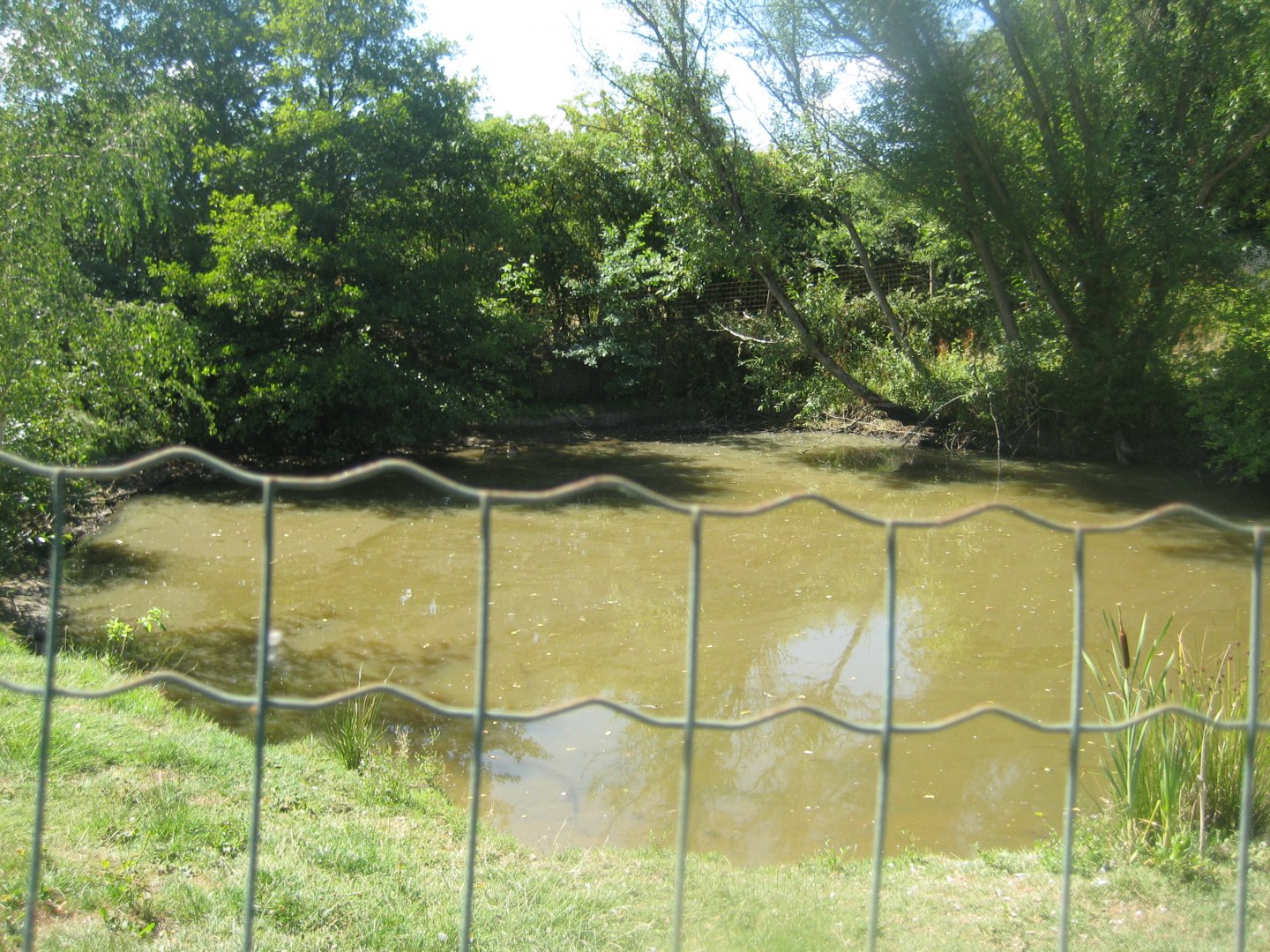 Frydenlund Fuglepark - Waterfowl lake #2