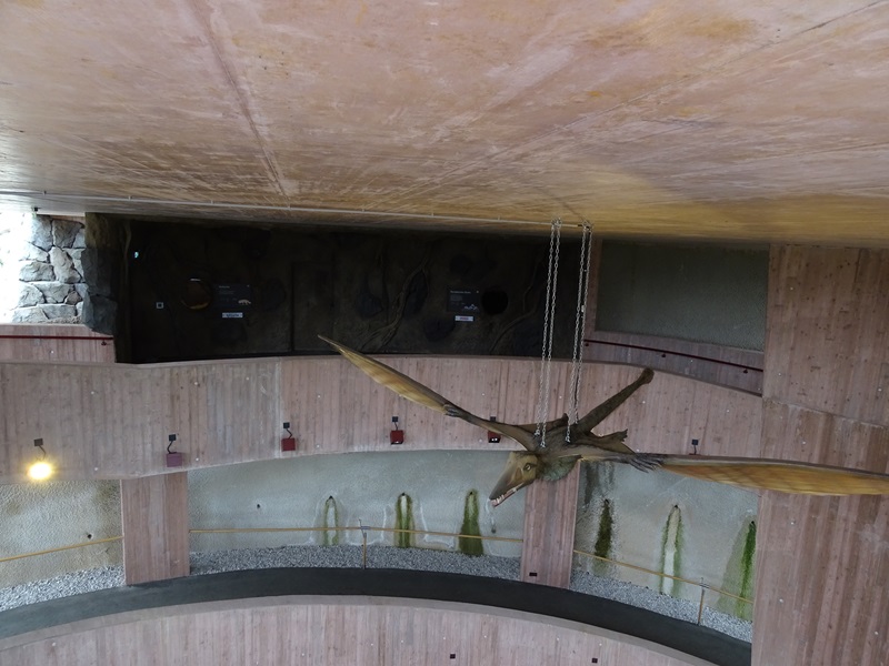 'Fuchs Dachs und Freunde' building