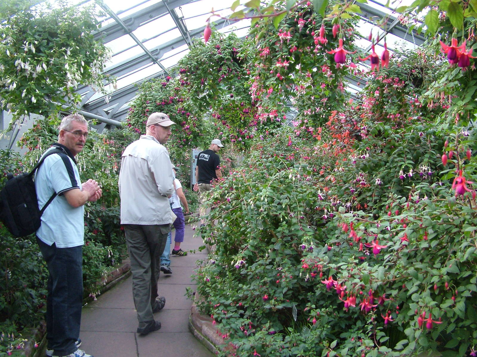 Fuchsia Greenhouse at Wilhelma, Stuttgart 02/09/10