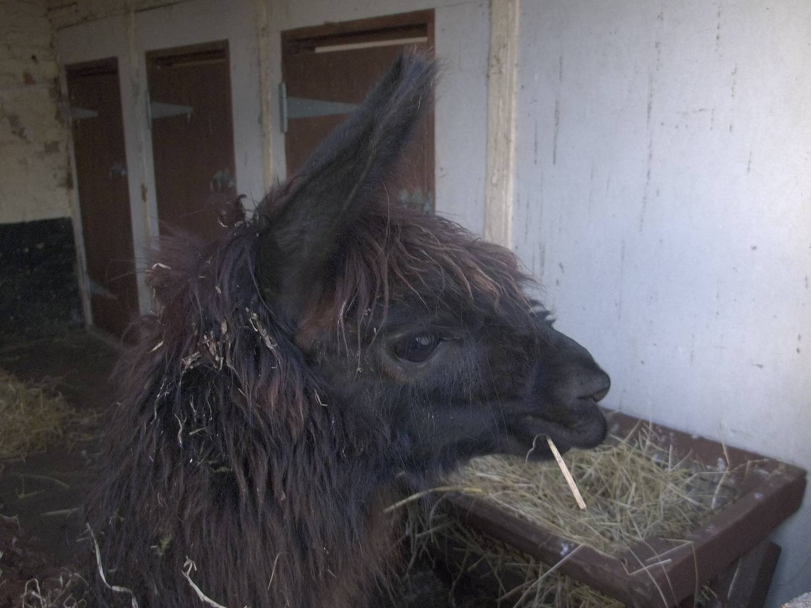 Fudge, 2nd November 2014