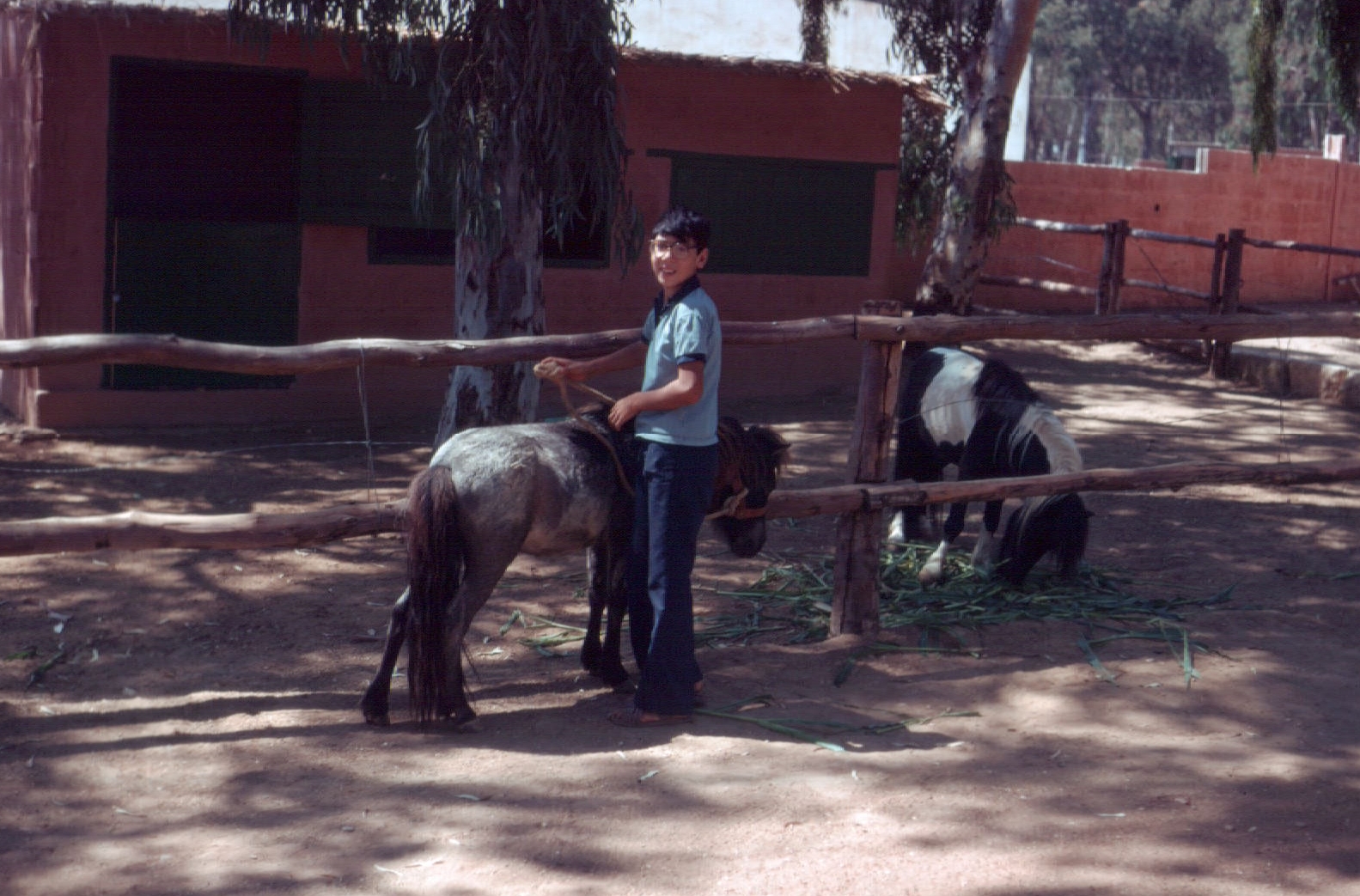 Fuengirola Zoo 1974 - Pony ride
