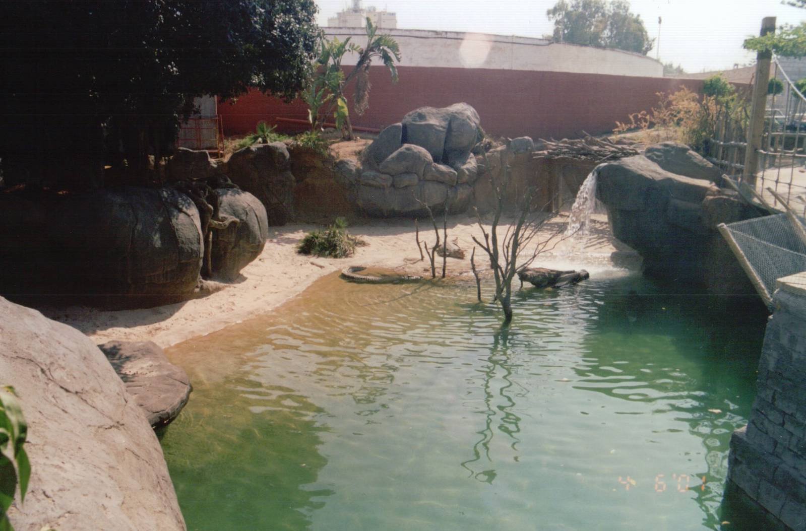 Fuengirola Zoo 2001 - Nile Crocodile exhibit