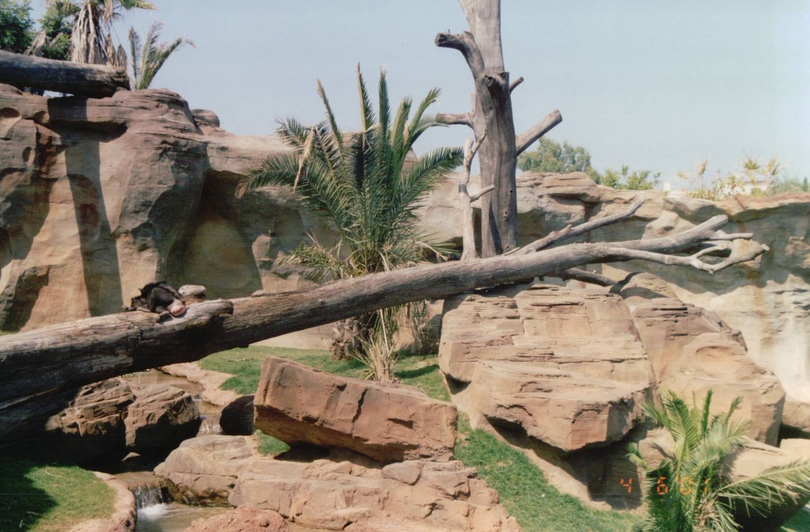 Fuengirola Zoo 2001 - Part of the Chimpanzee exhibit