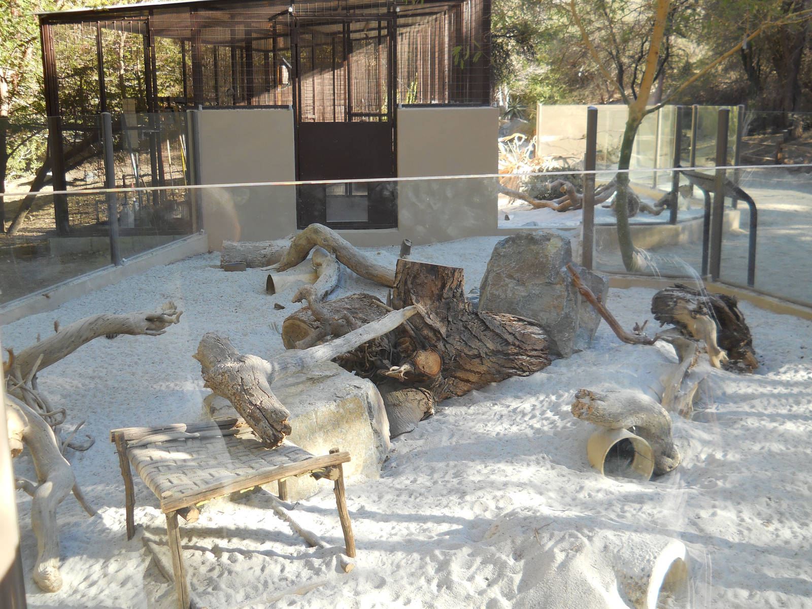 Full view of new meerkat exhibit