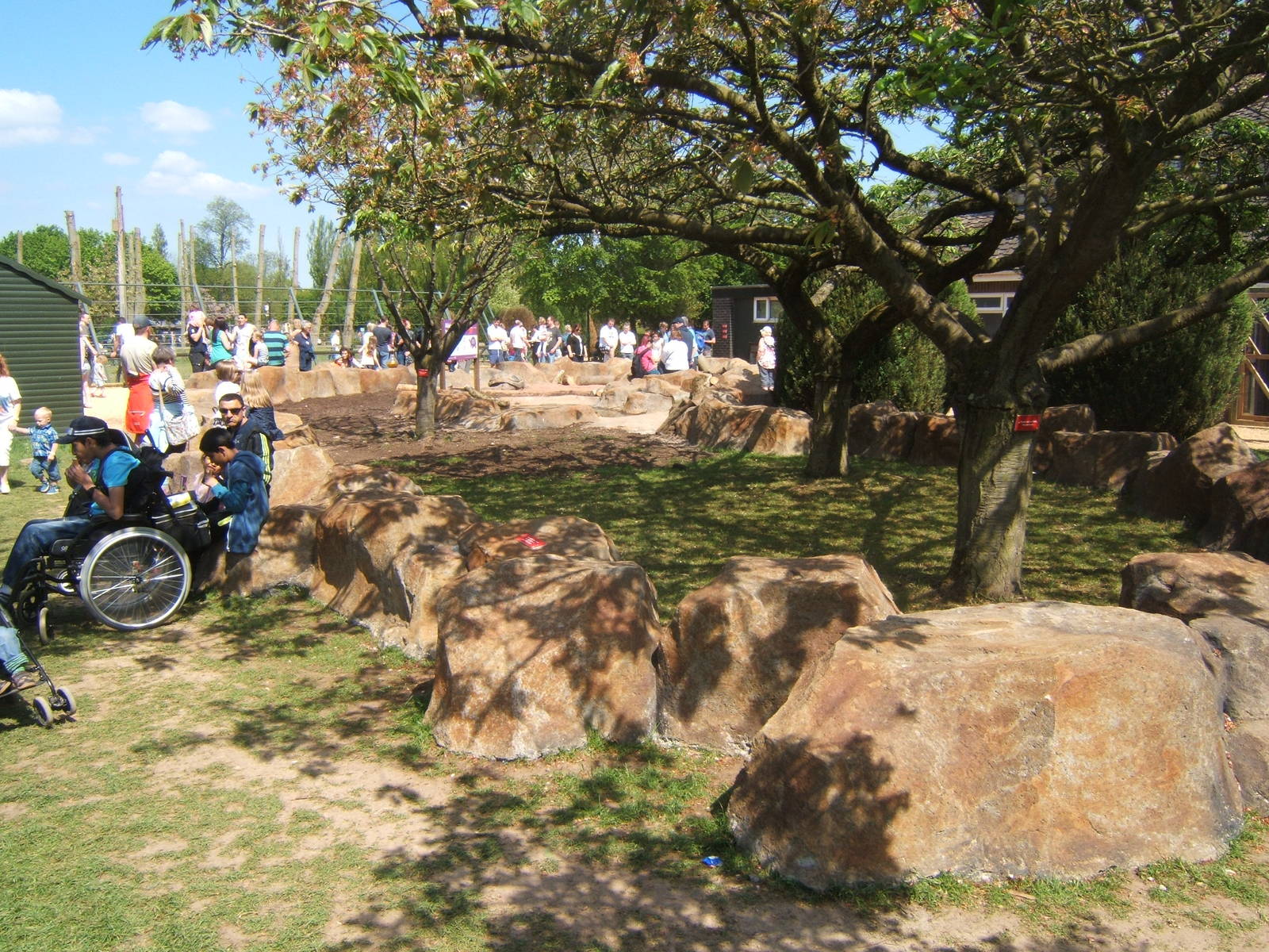Full view of the Giant Tortoise enclosure