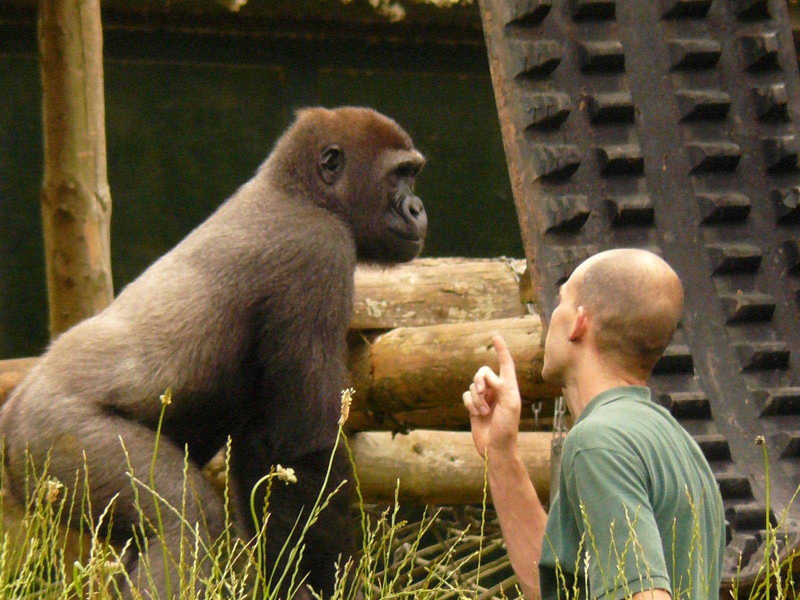 FUN & GAMES WITH THE BOYS