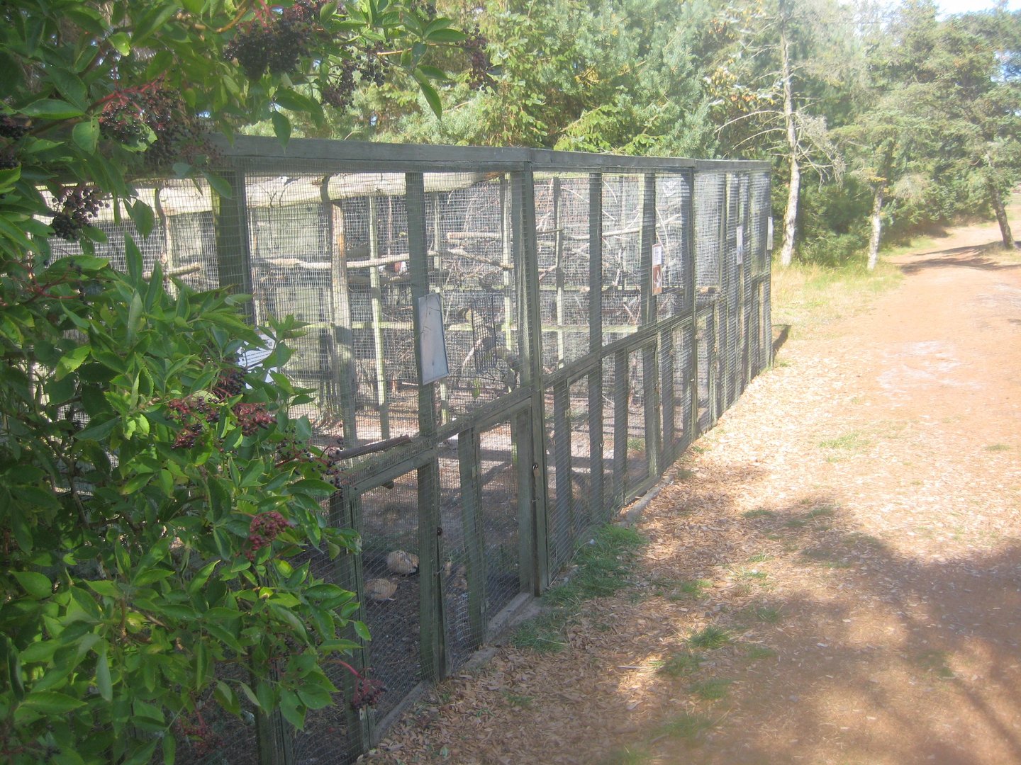 Fun-Park - Aviary row