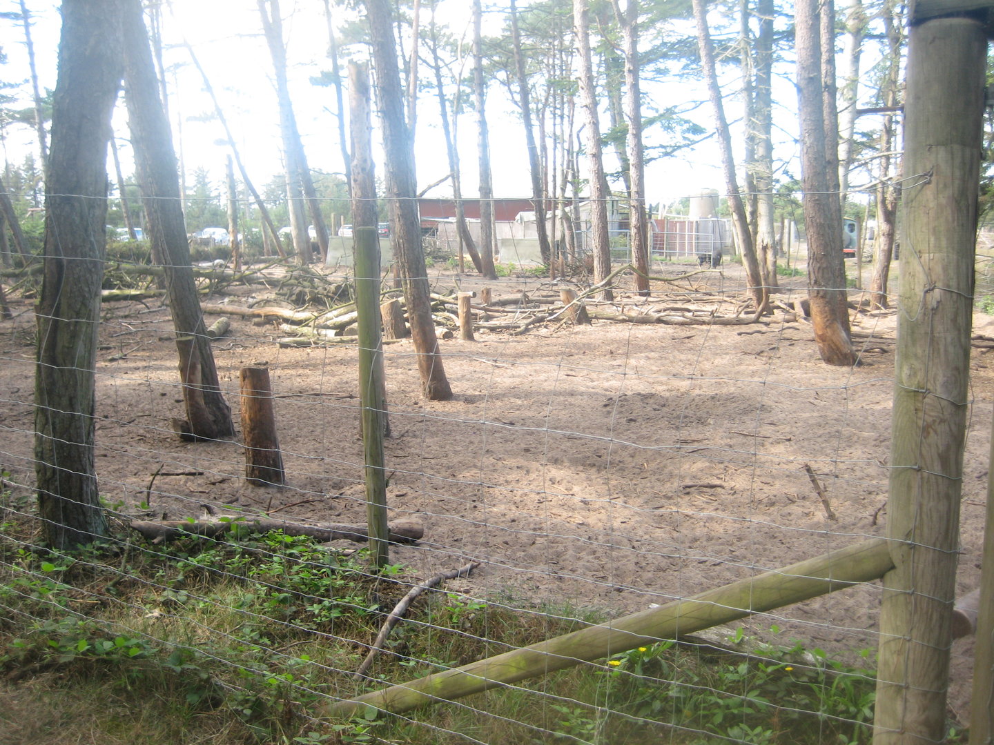 Fun-Park - Boar exhibit