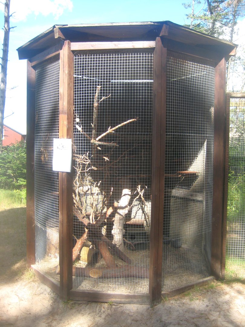 Fun-Park - Chinchilla exhibit