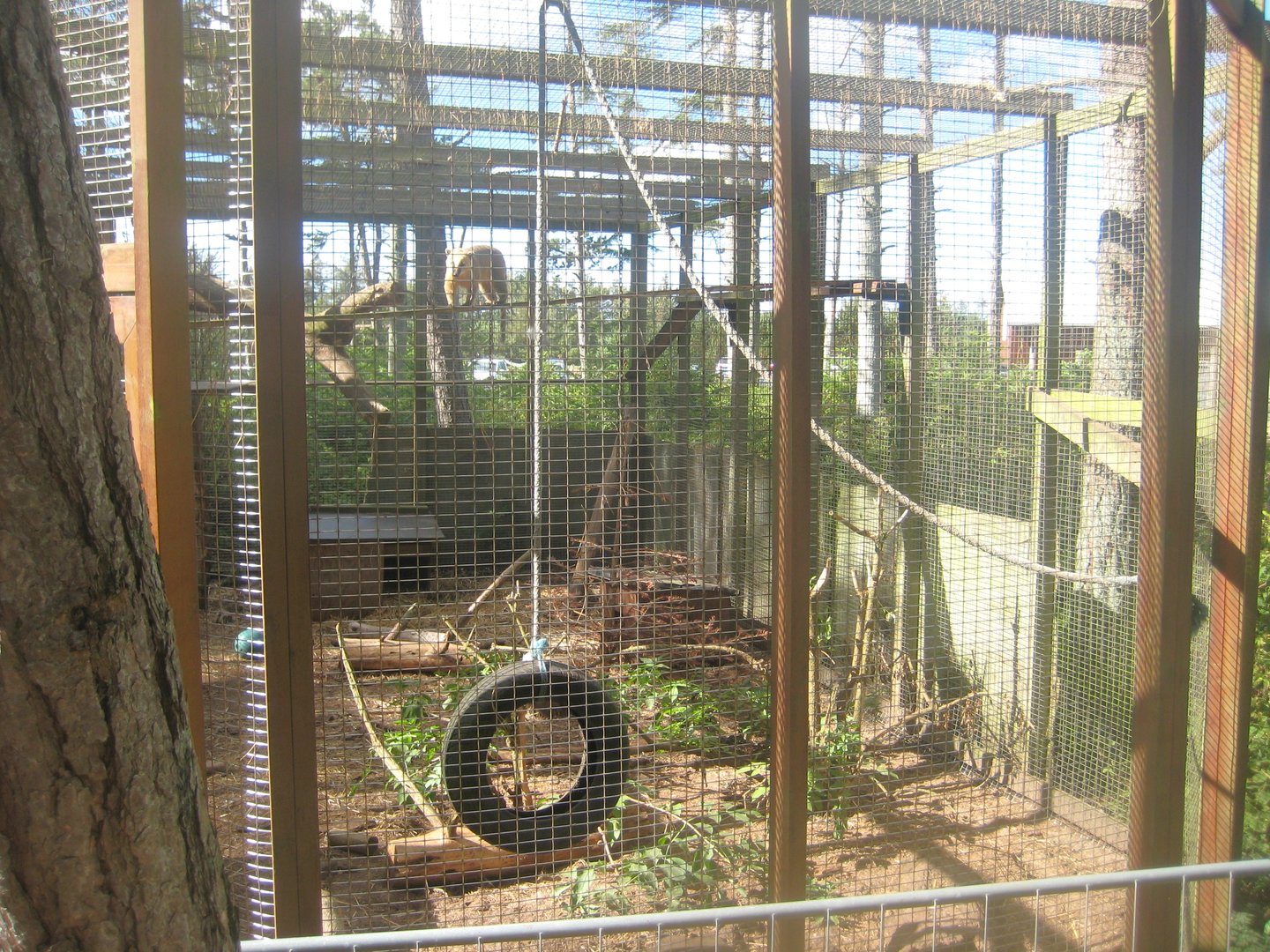 Fun-Park - Coati exhibit
