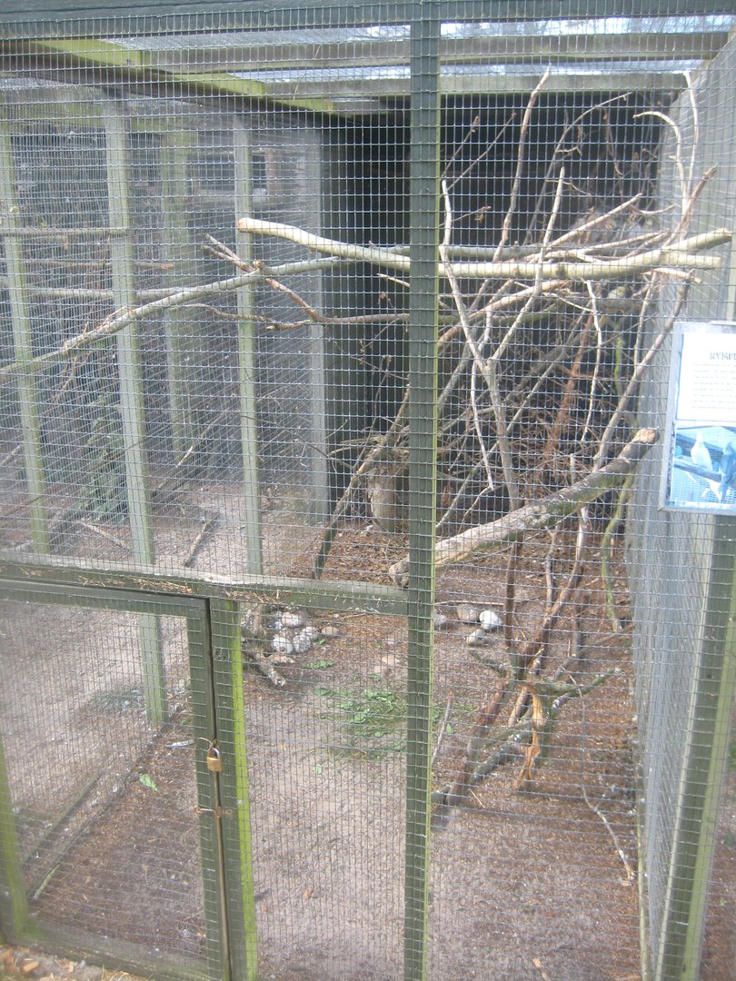 Fun-Park - Cockatiel aviary