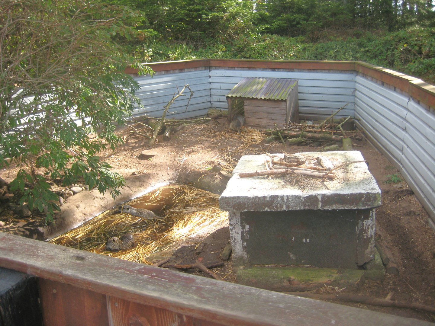 Fun-Park - Coypu exhibit