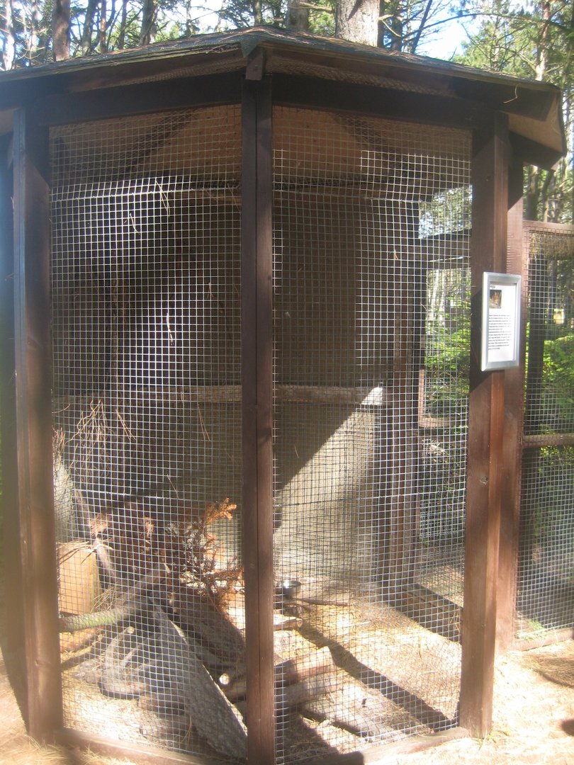 Fun-Park - Degu exhibit