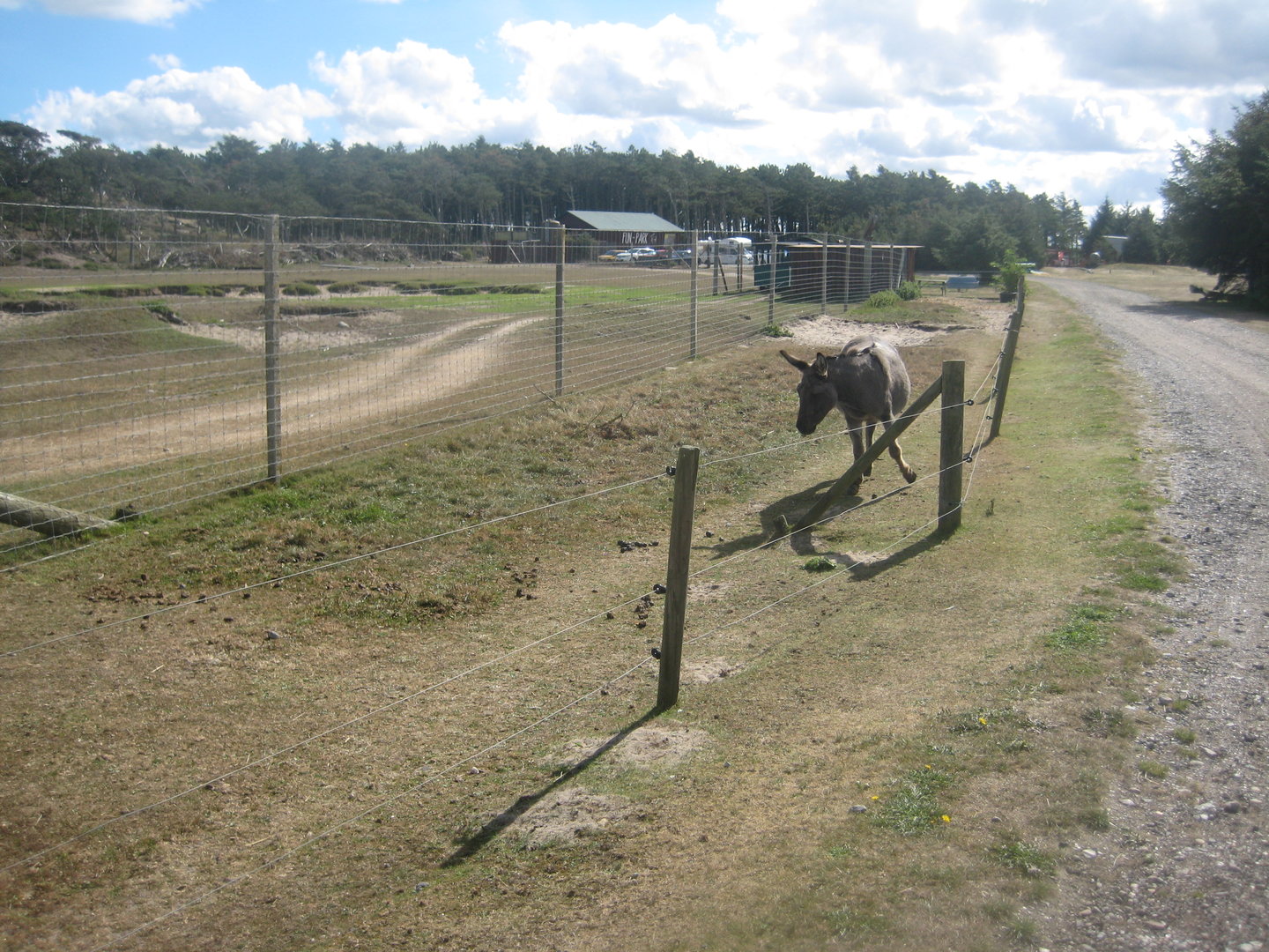 Fun-Park - Donkey exhibit