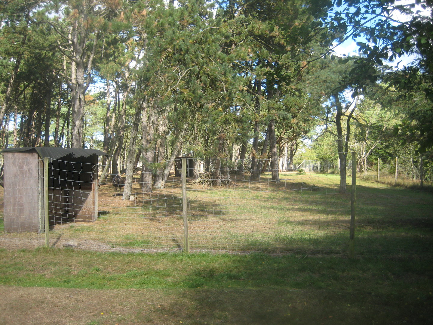 Fun-Park - Emu exhibit