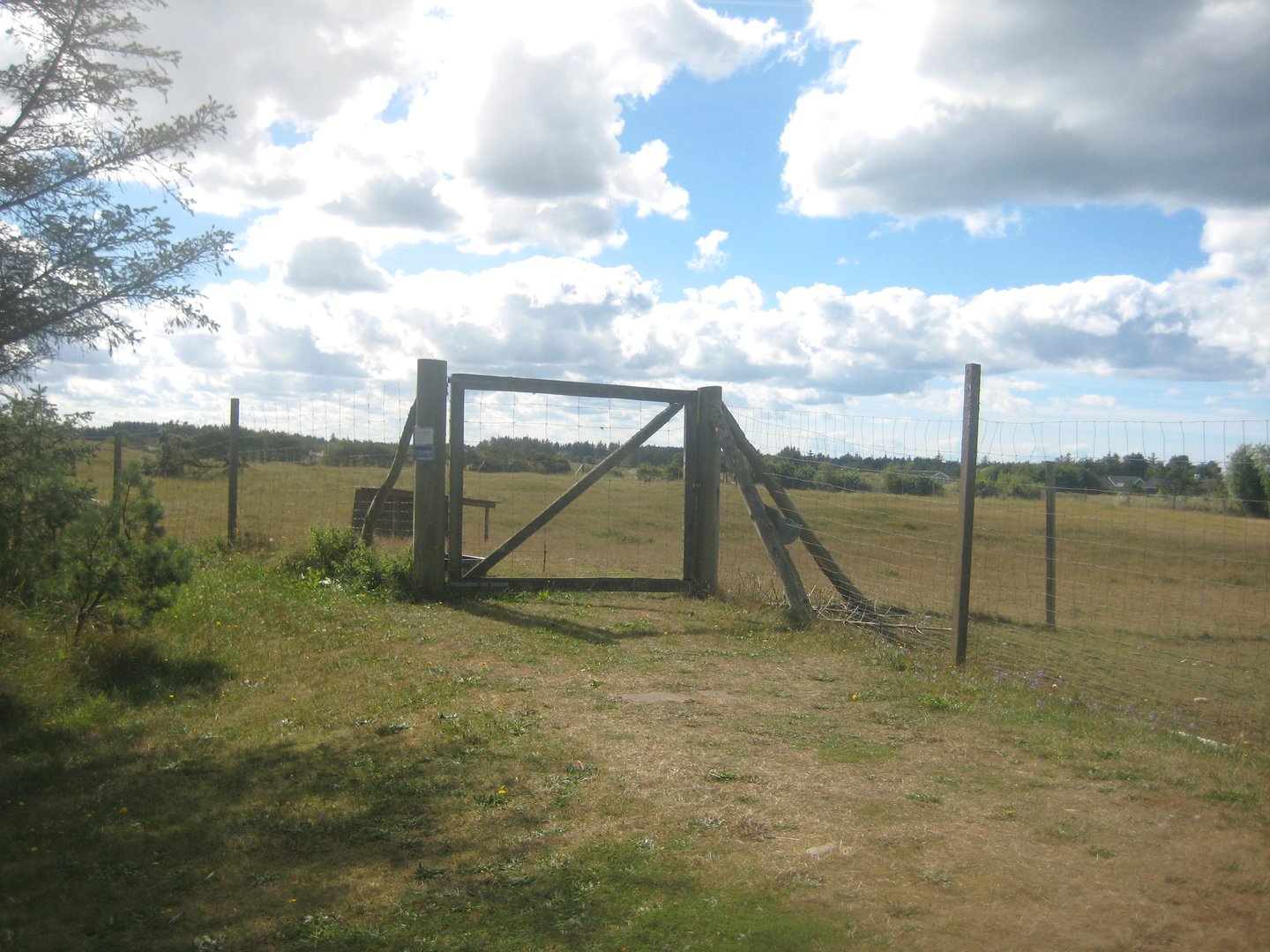 Fun-Park - Fallow deer exhibit