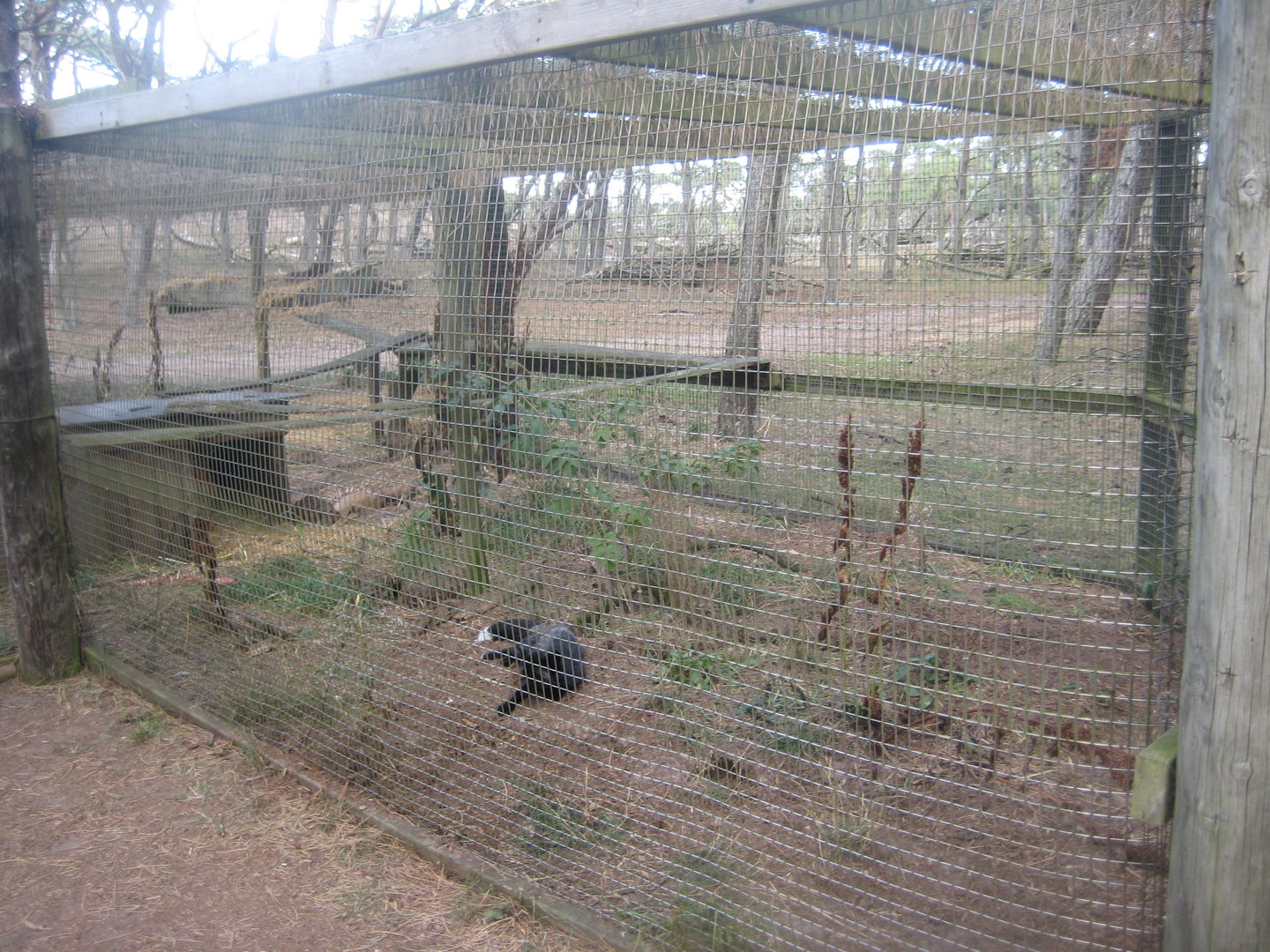 Fun-Park - Fox exhibit