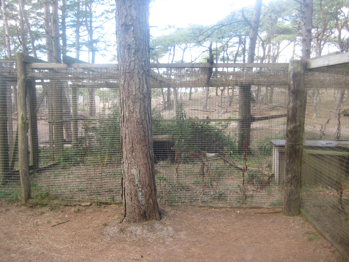 Fun-Park - Fox exhibit