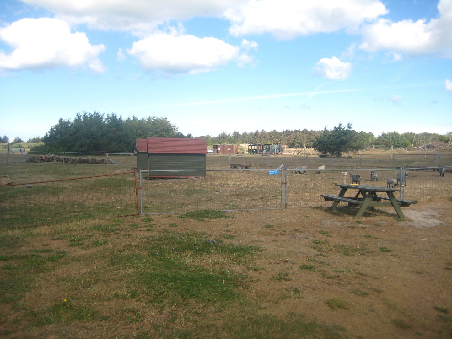 Fun-Park - Goat exhibit