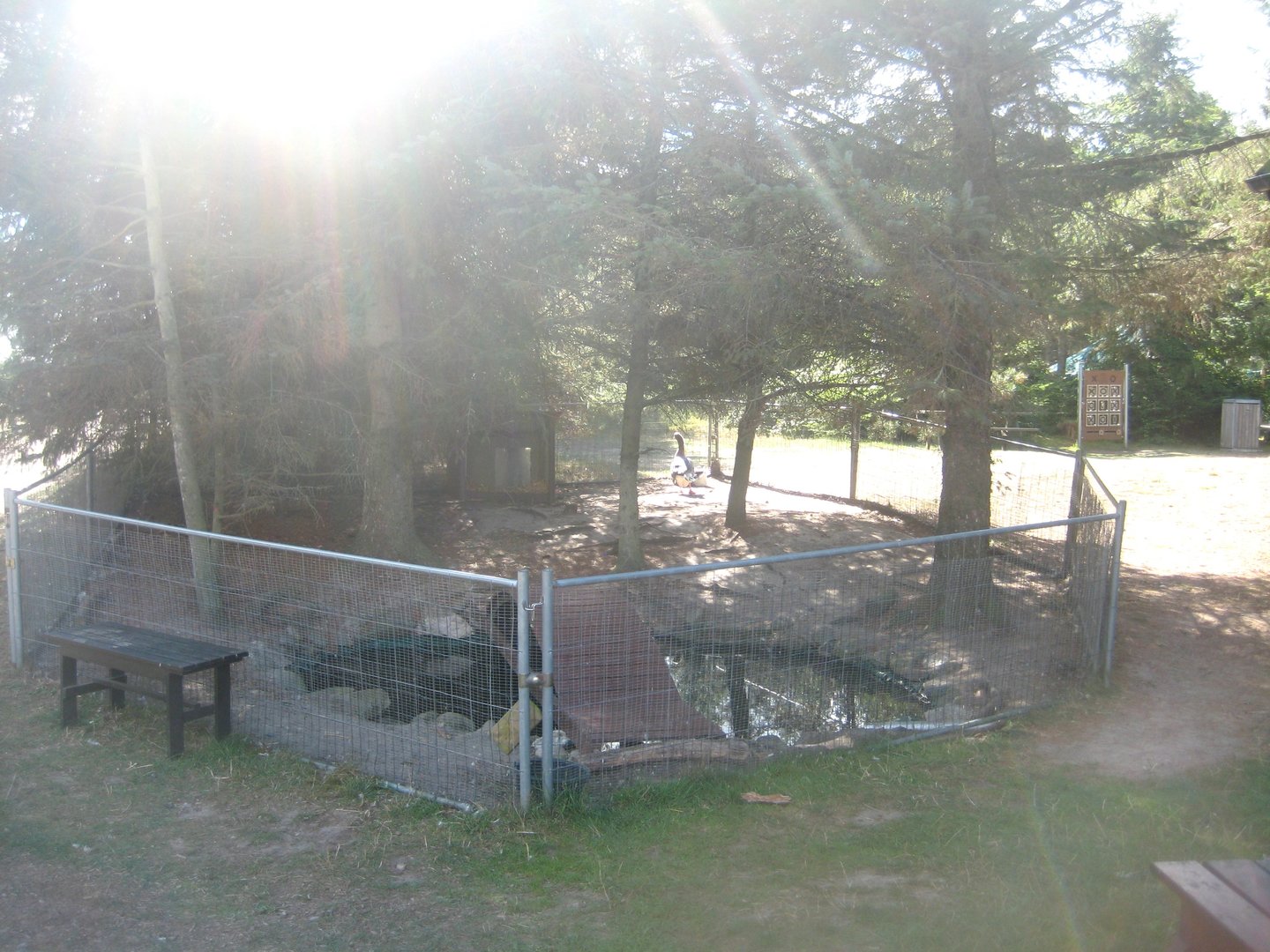 Fun-Park - Goose exhibit