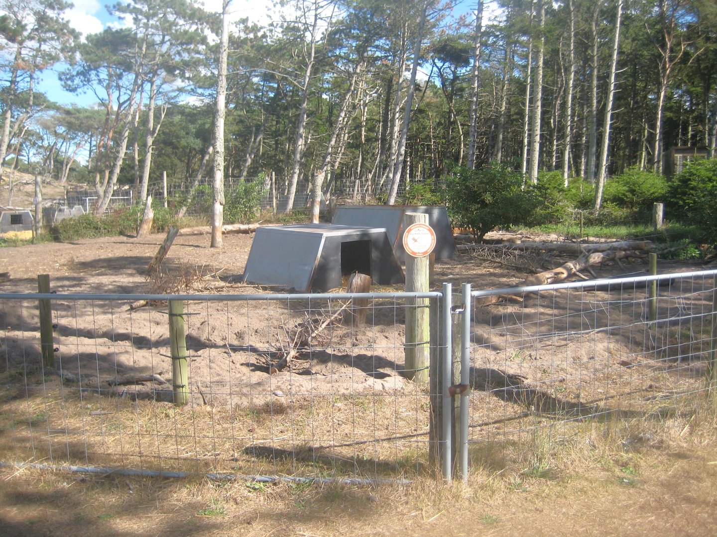 Fun-Park - Mangalitsa pig exhibit