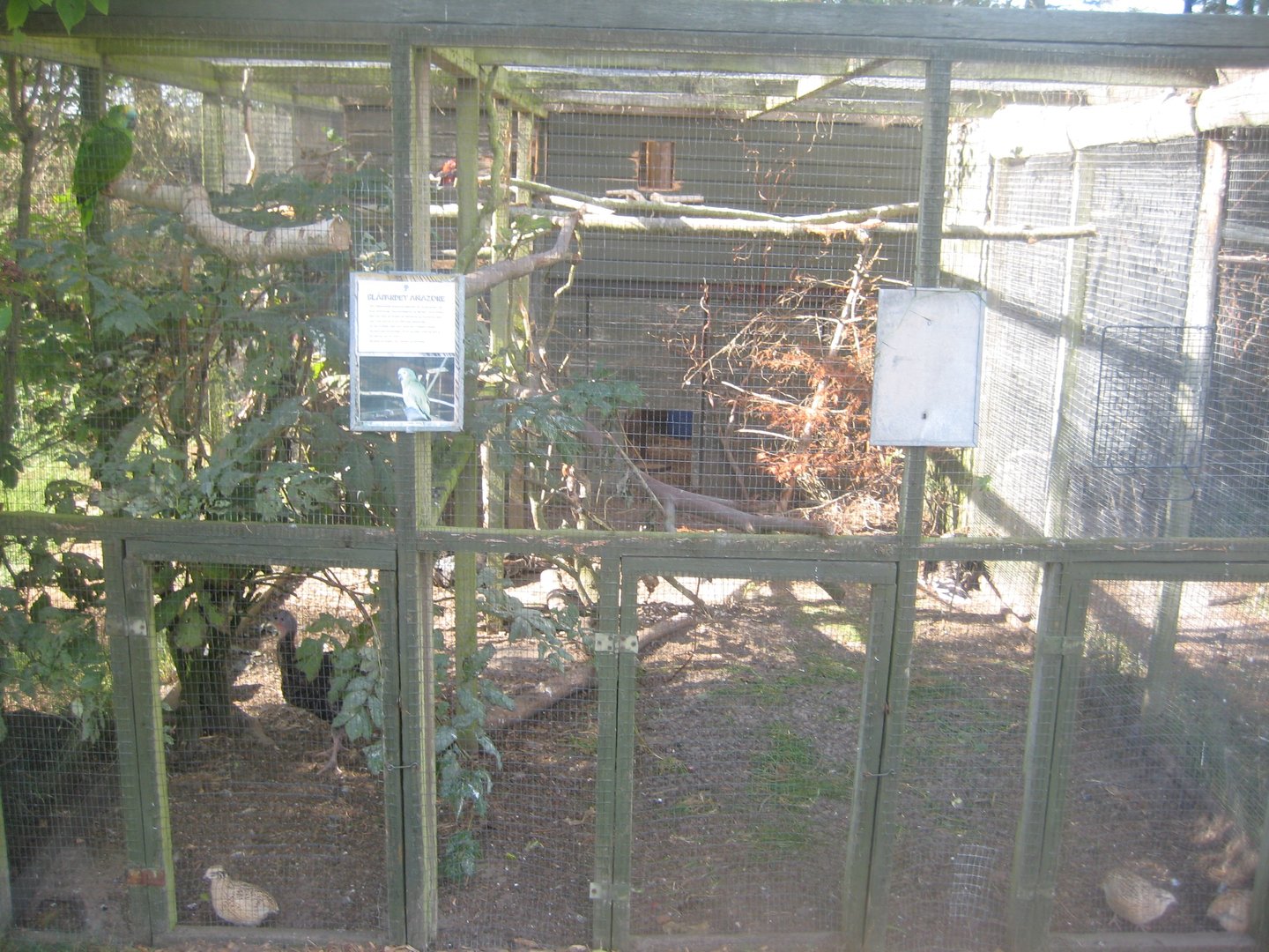 Fun-Park - Mixed aviary