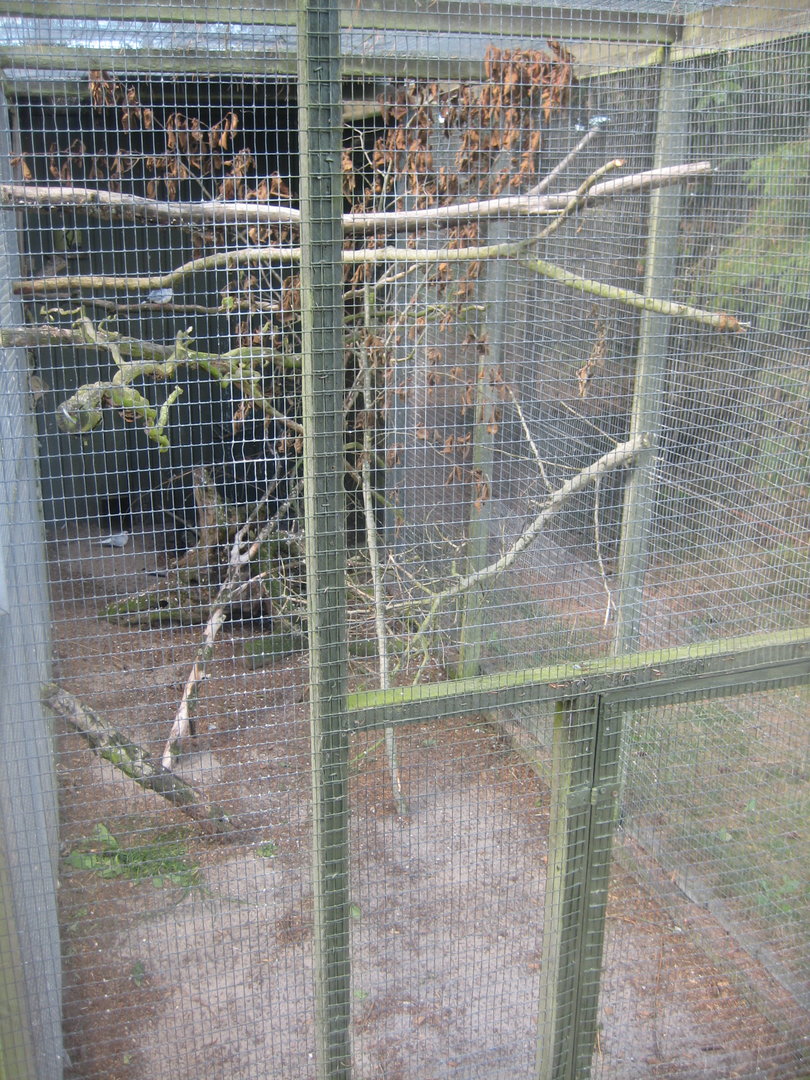 Fun-Park - Parrot/dove aviary