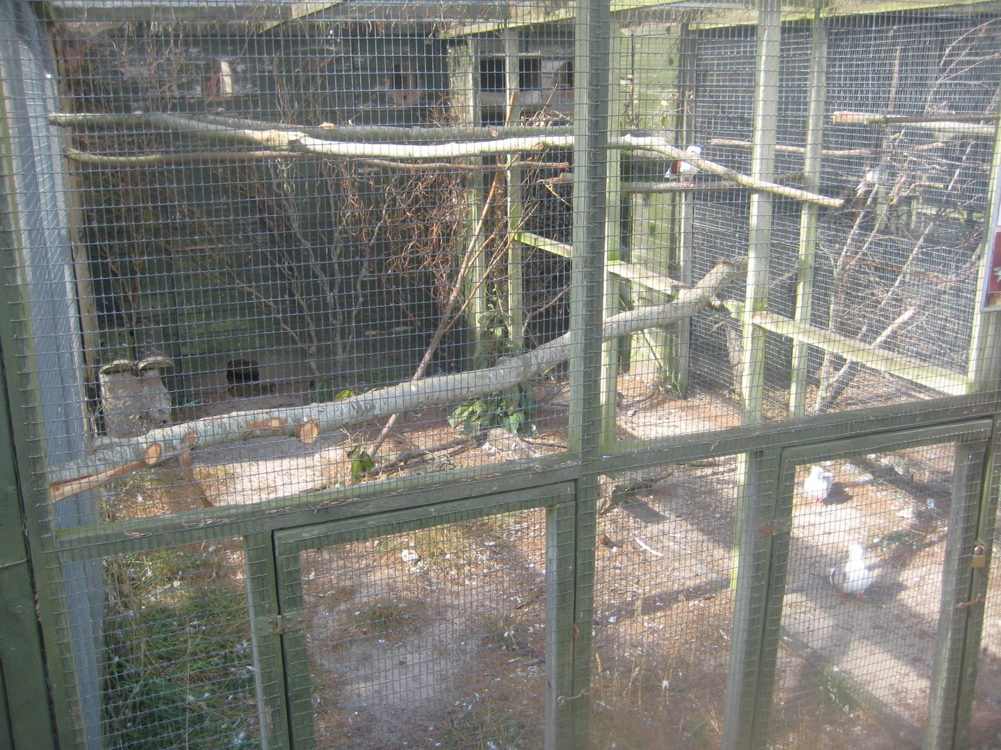 Fun-Park - Pigeon aviary