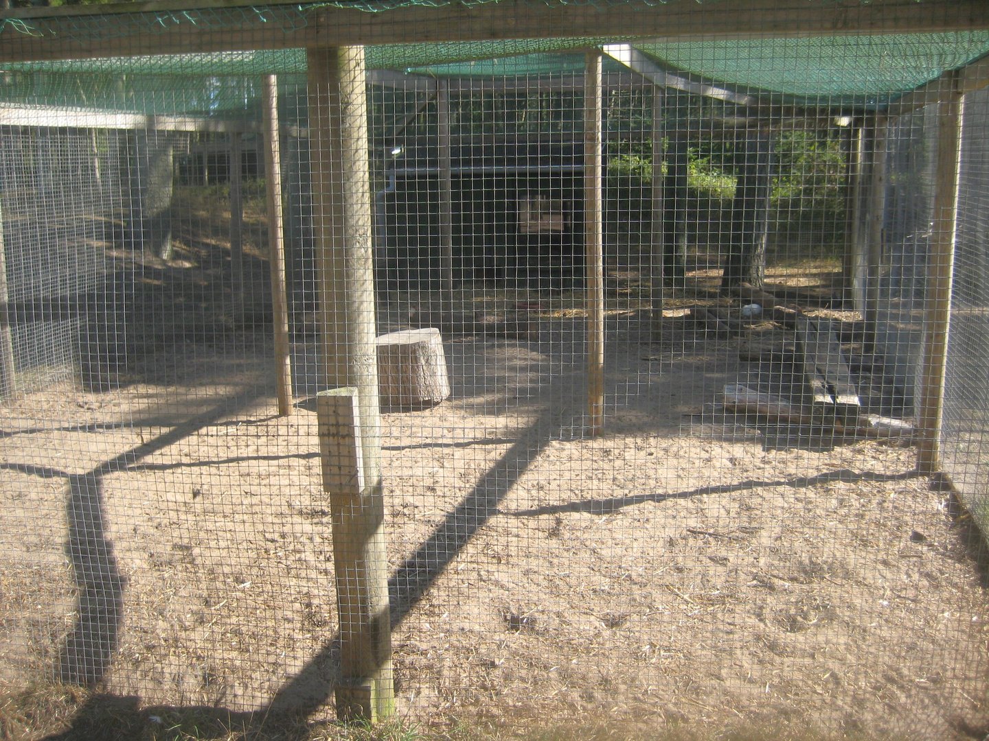 Fun-Park - Rabbit exhibit