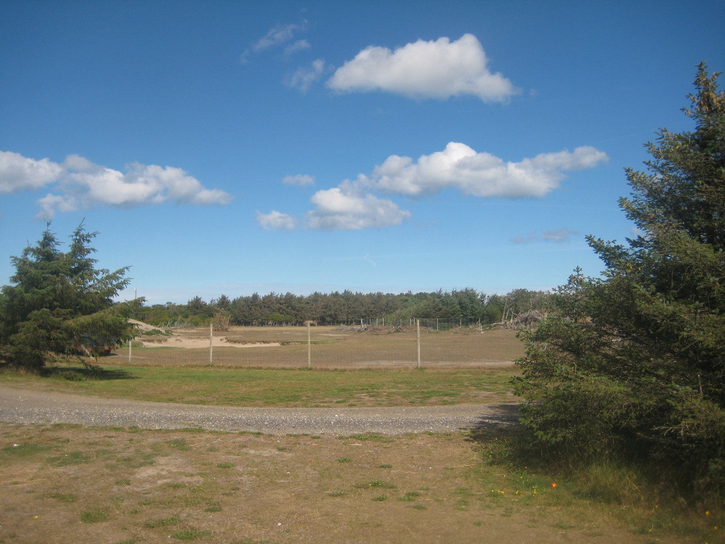 Fun-Park - Red deer exhibit