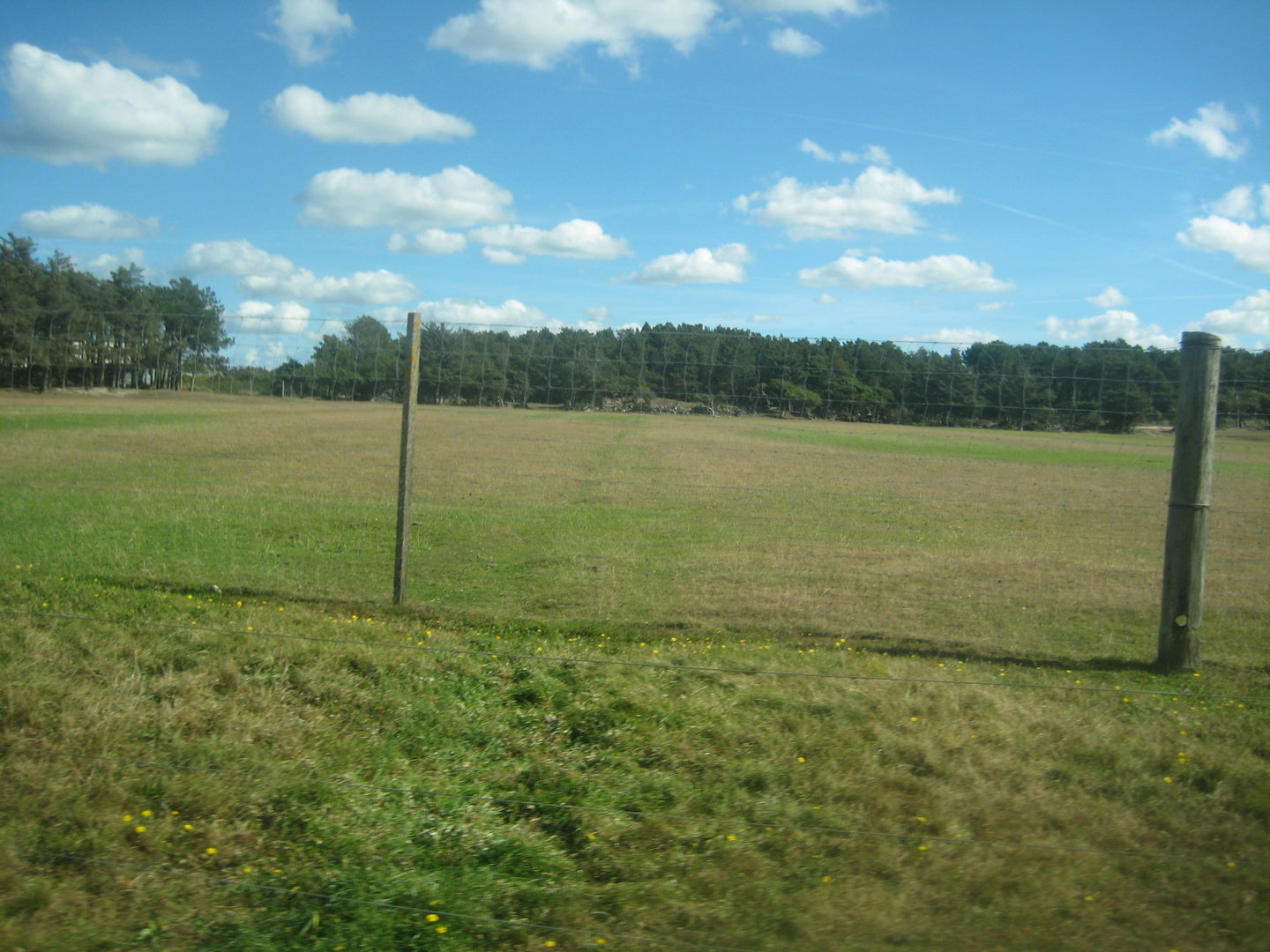 Fun-Park - Red deer exhibit