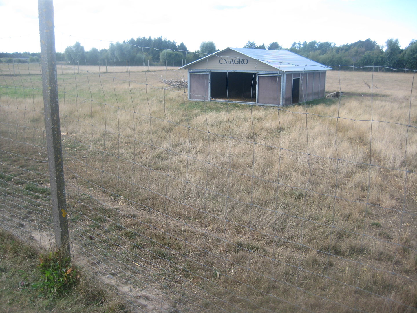 Fun-Park - Sheep exhibit #1