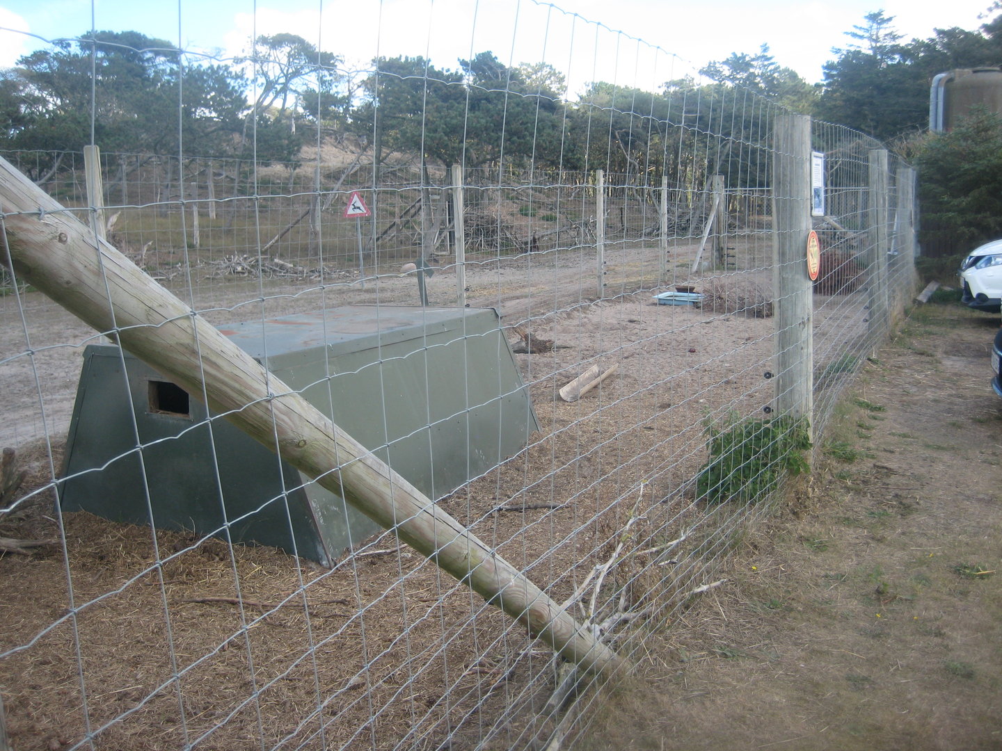 Fun-Park - Vietnamese potbelly pig exhibit