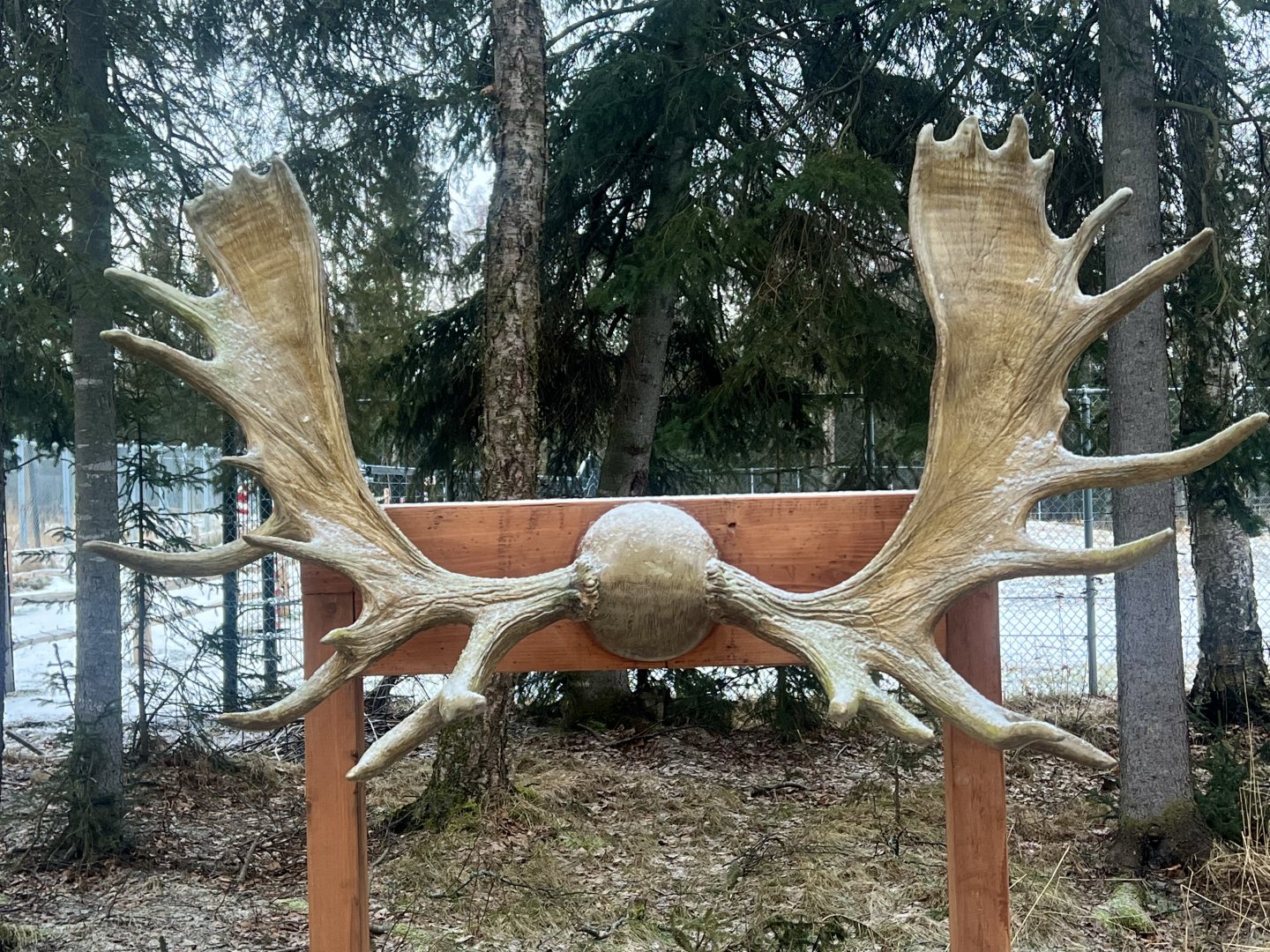 Fun photo opportunity