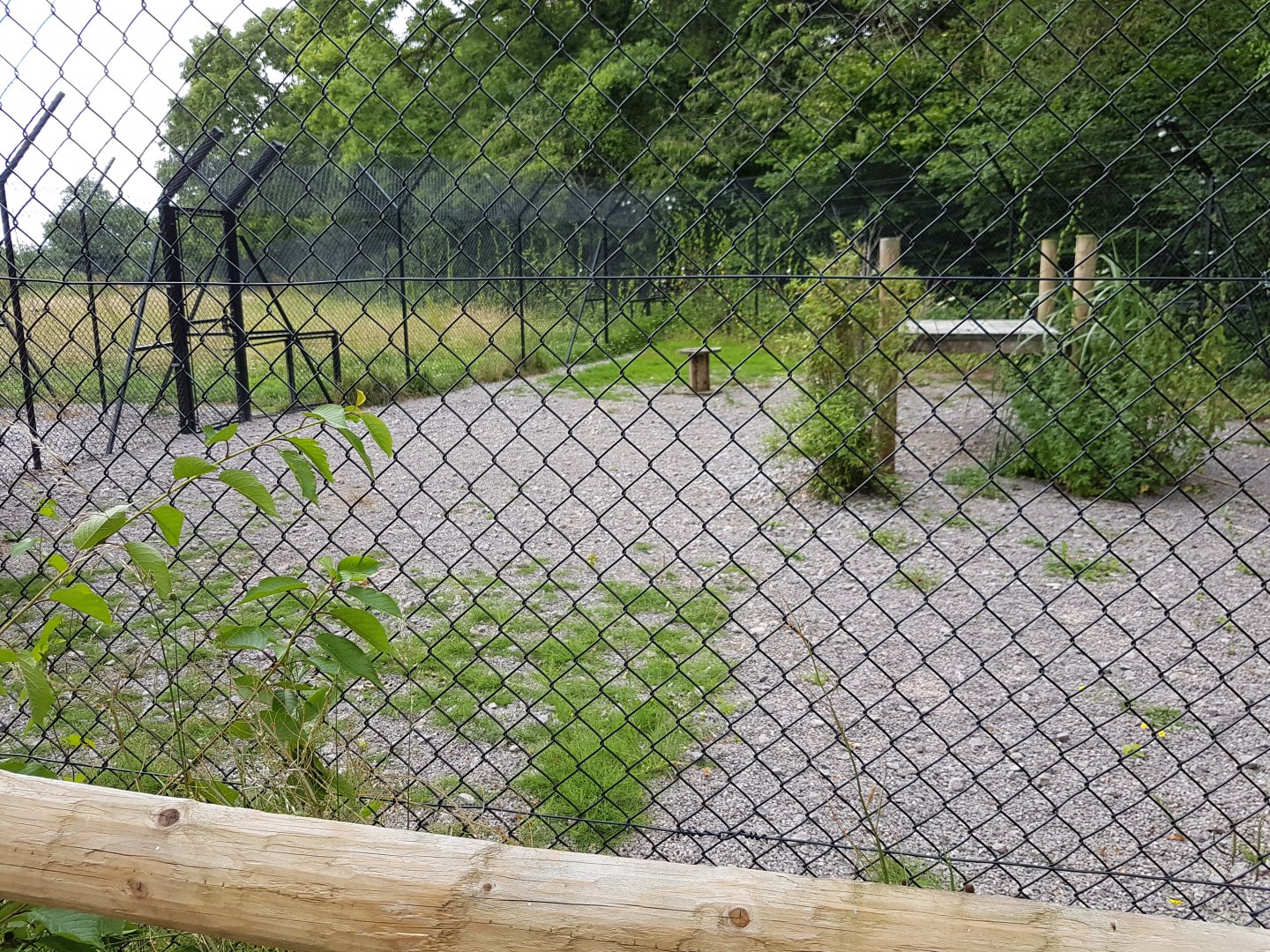 Functional Cheetah holding pen.