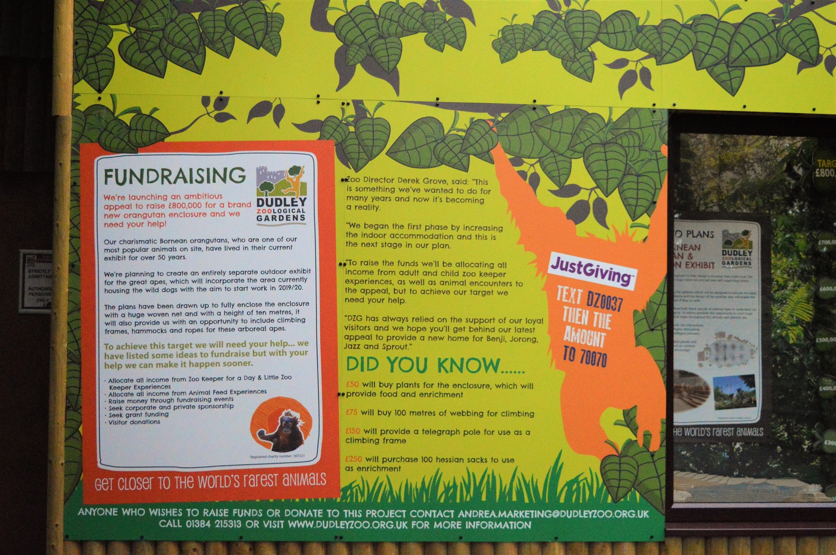 Fundraising for new orang enclosure