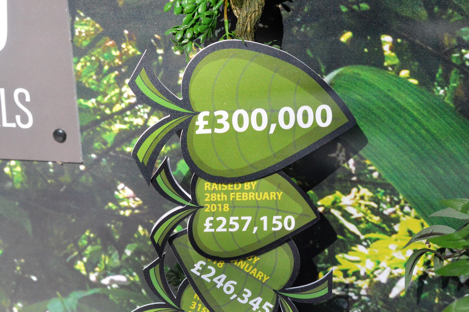 Fundraising for new orang enclosure