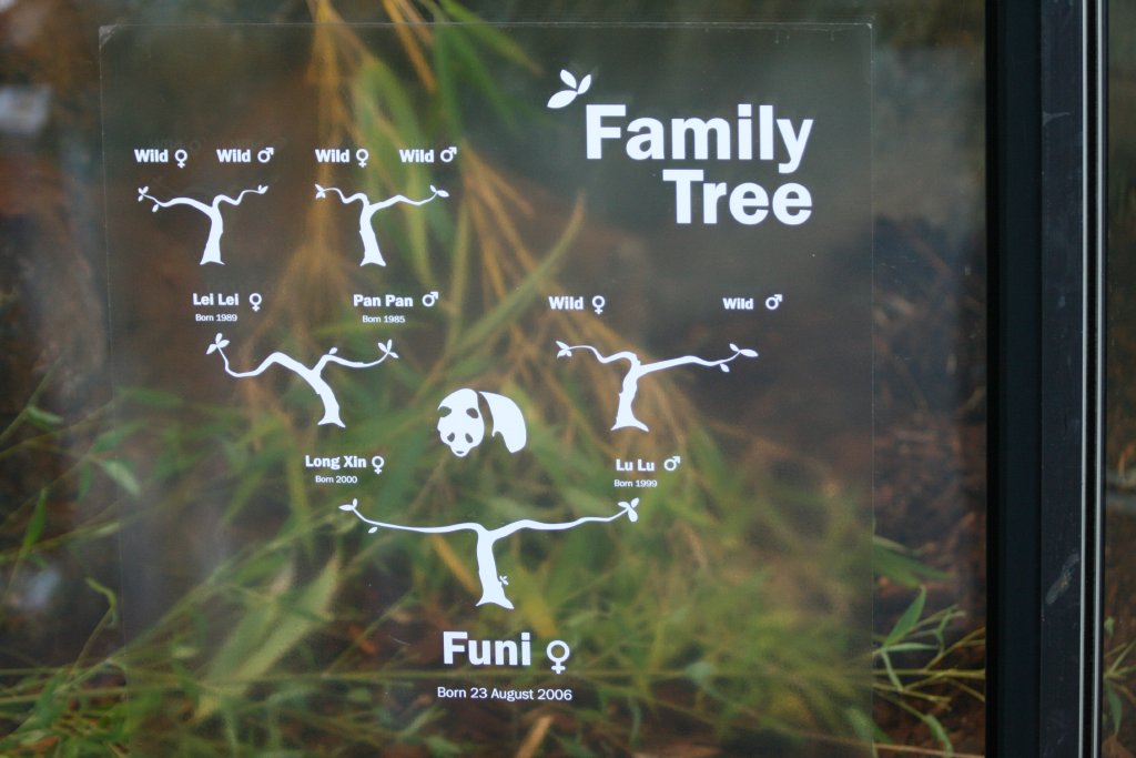 Funi's Family Tree