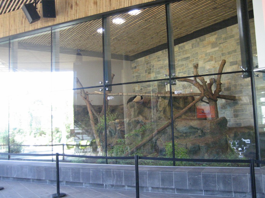 Funi's Indoor enclosure