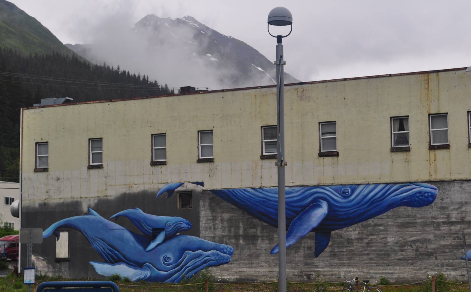 Funky Whale Mural on Cafe across street from ASLC.